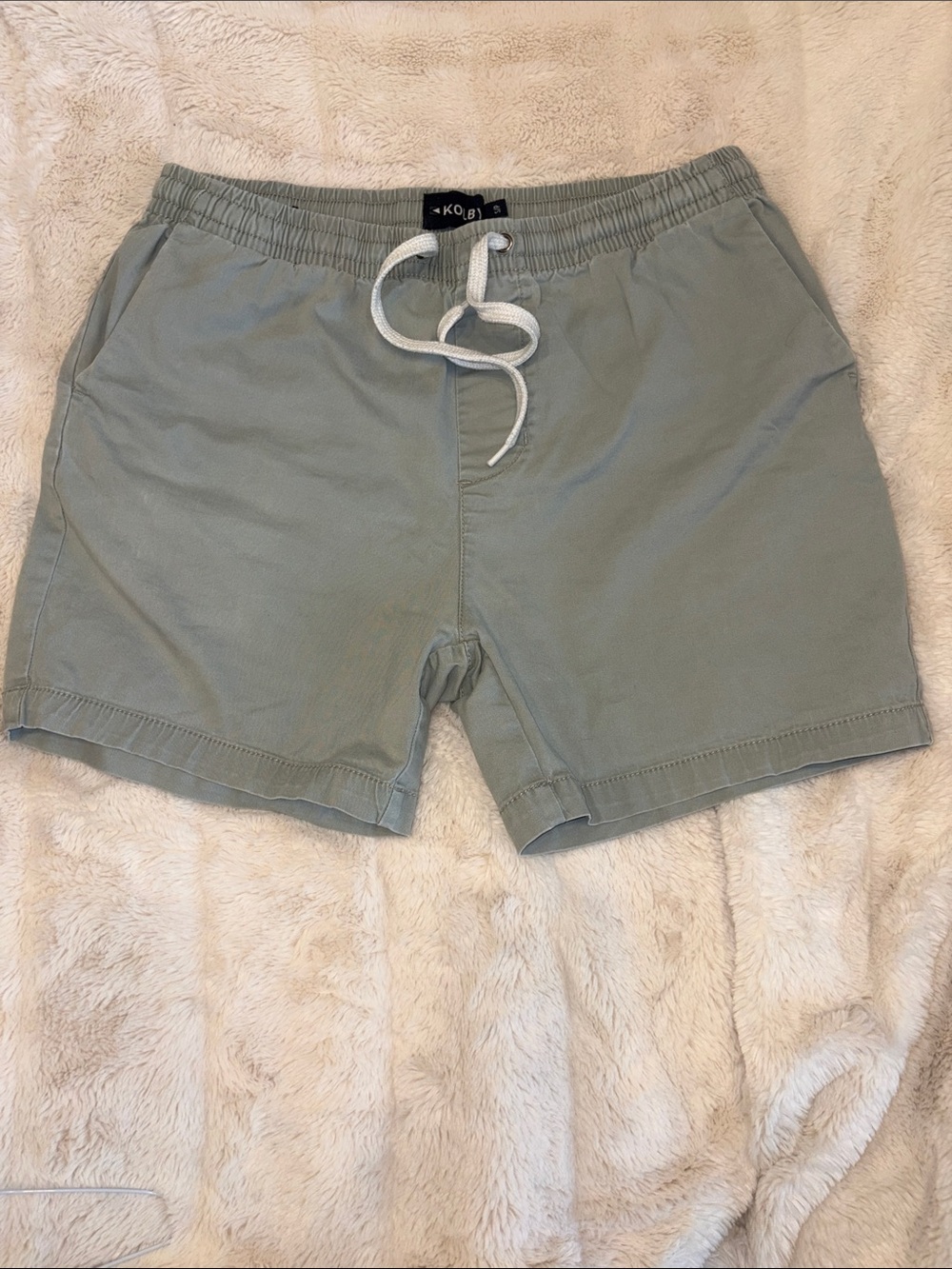 Men's Sage Green Athletic Drawstring Shorts with Elastic Waist